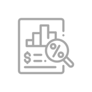 Budget Icon